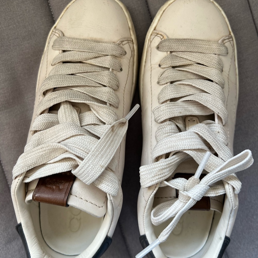 Coach sneakers